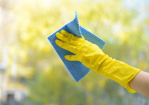 Lower Clapton carpet cleaners restoring a living room carpet