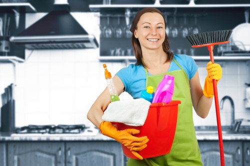 Common household stain removal products and tools