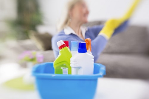 Carpet cleaner assessing safety before starting work