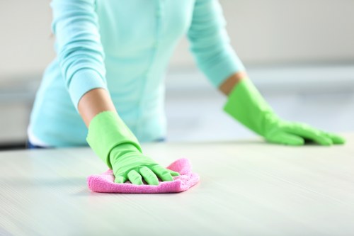 Upholstery cleaning for pet stain odour removal in Lower Clapton