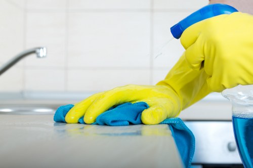 Inspection of a carpet cleaning concern during complaint review